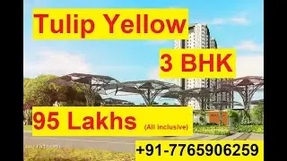 Tulip Yellow | New launch Apartments| Sector 69 Gurgaon | +91-7765906259