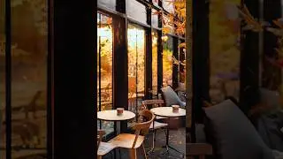 Chill Jazz Caf&eacute; #jazzcafe #smoothjazz #cozyjazz #chilljazz #cafemusic