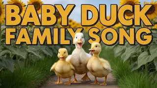 Five Little Ducks Go Swimming | English Kids Song with Fun Quack Quack Sound and Learning