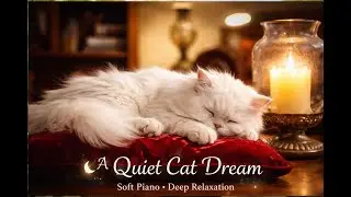 Soft Relaxing Music with Sleeping Cat