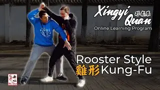Rooster Kung Fu - Xingyi Rooster Applications & Drills #kungfu  #xingyi