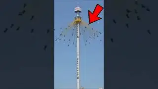 Top 5 Scariest & Deadliest Amusement Rides 🎢☠️ #scary #ride #amazing