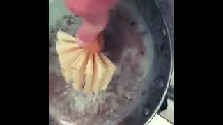 Plastic-free Dish Brush and Pot Scrubber Works Amazingly Well