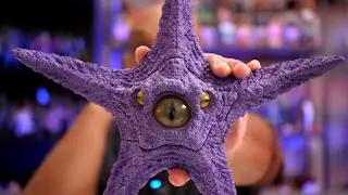 FINALLY, Starro Has Been Completed!
