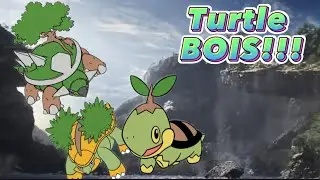 Best Turtle Fusions