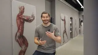 Achillodynie