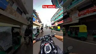 Dog attack at me 🫣 kawasaki z900 exhaust Dog ko bahut pasand h lagra h😂 #youtubeshorts