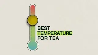 What's The Best Temperature for Tea? Tea Preparation Tips