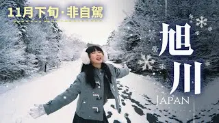 11月北海道旭川下雪了❄️非自駕怎麼玩？雪地徒步初體驗🚶走進夢幻童話樹林|《北海道旭川EP.1》