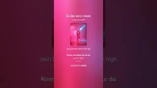 DU BIST MEIN AMORE 
