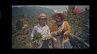Asian Food Network - Eat Roam Relish th&aacute;ng 08/2025