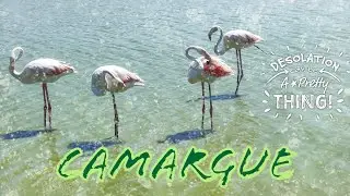 Camargue 2024, Francia, Tanti fenicotteri e villaggi in questo splendido parco naturale
