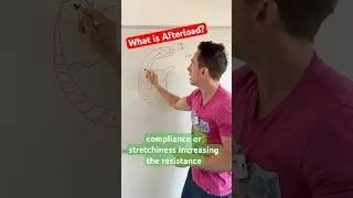 What is Afterload? #afterload #medicine #medschool #physiology #heart