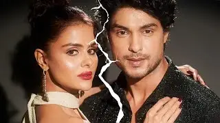 Priyanka Aur Ankit Ne Ek Dusre Ko Kiya UNFOLLOW, Kya Hua Hai Break Up?
