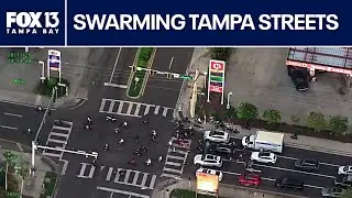 Hundreds of bikers caused chaos on South Tampa streets