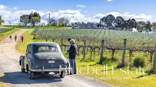 &lsquo;Bluebell Estate&rsquo;, Cool Climate Wine Region, NSW