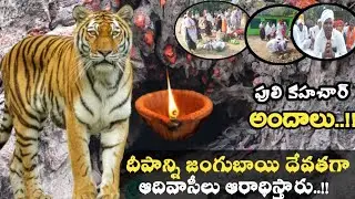 పులి కహచార్ అందాలు..!|Tribel Festivals Grand Celebration-Persa Pen|Thoyaguda Gudihatnur Adilabad
