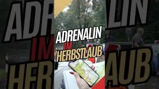 Adrenalin im Herbst - Kleiner Preis vom Taunus 2025 - Oldtimer-Rallye Oberursel #porsche #bmwlife