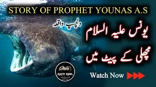 Hazrat Younas A.S Ka Waqia | Katti Khel Urdu Wisdom Journey
