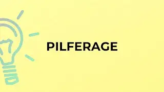 What is the meaning of the word PILFERAGE?