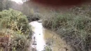 Novato Creek