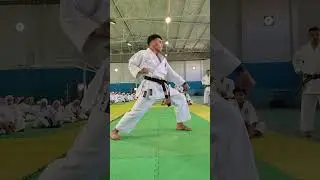 محاضرة كاتا امبي الدورة الافريقيه سينسي شريف عبد النبي sensei sherif abdelnaby 