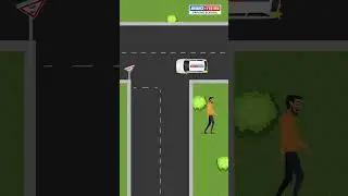 Mastering Road Rules: The Path to Pedestrian Safety.