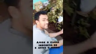 Como proteger seu tomate de pragas