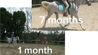 HORSE RIDING PROGRESS VIDEO 8 MONTHS!