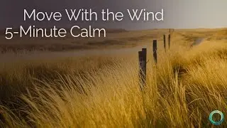 Gentle Wind Guided Imagery | 5-Minute Mindfulness for Calm