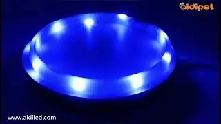 AIDI-C5 Rechargeable Pet Led Dog Collar Glow In The Dark Dog Collar