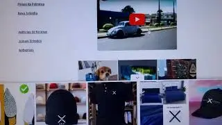 CANAL FARINA YOUTUBE RECONHECIDO  EM TODO PARAN&Aacute;