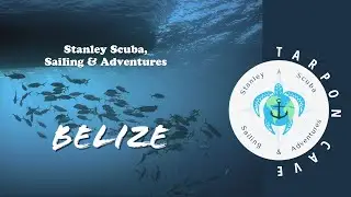 Scuba Belize, 2021, Tarpon Cave, Lighthouse Atoll