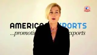 What is the difference between American Exports and search engines