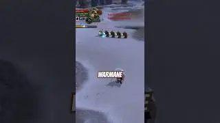 1 player&hellip; or 5? MULTIBOXING Warmane Onyxia