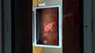 Chicken Run (2000) - Mrs. Tweedy