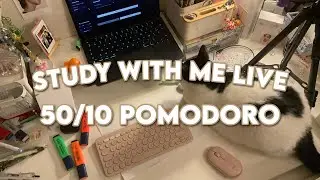 study with me live: 17 hours (real sounds, no music, 50/10 pomodoro technique) 🌷