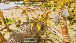 Drake ling and Deinosuchus taming guide Ark ragnarok episode 2
