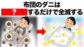 【超簡単】ダニ対策は