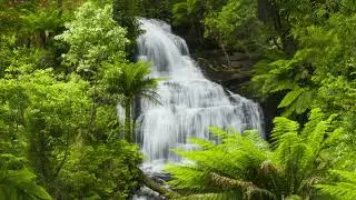 Discover some of the Best NC Waterfalls and Parks i 2024 10 21