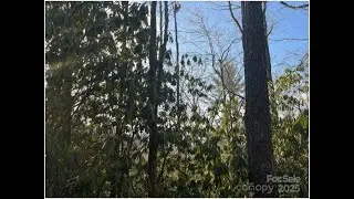 NEW LISTING: 00 Rules Run Road  31A Clyde NC 28721