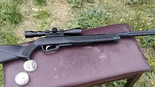 Firing my .22 cal gamo raptor whisper #airrifleshooting #hunting