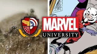 Ant-Man: The Science of Ants | Marvel University