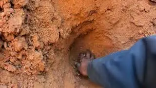 Relocated another Septic System for a Pool