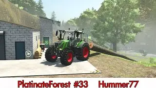 🌲林業🌲