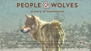 People & Wolves Movie:  a moving tribute to the deep bond between the Ojibwa people and the wolves