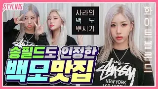 헤어디자이너 사라의 백모염색 꿀팁 총정리 + 홍대미용실 화이트블론드 뿌시기 with송필드