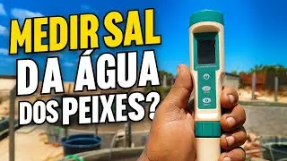 Equipamento para Medir o Sal da &Aacute;gua dos Peixes! Veja Como Testar a Salinidade no Tanque de Til&aacute;pias