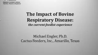 BRD Symposium 2014: Dr. Michael Engler