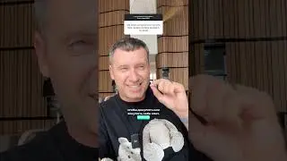Надо ли Заходить на Всю КОТЛЕТУ